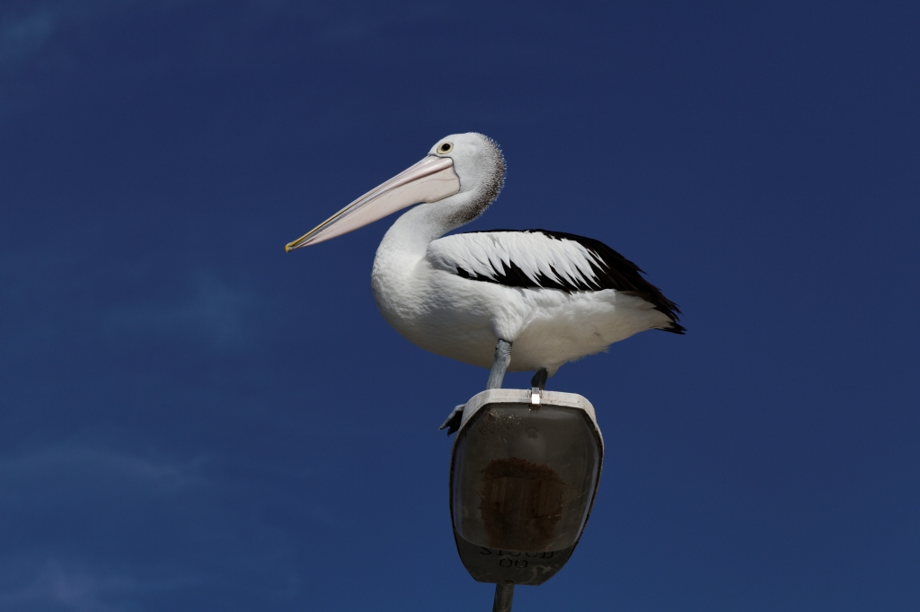 05 - Bay of Fire (2).jpg